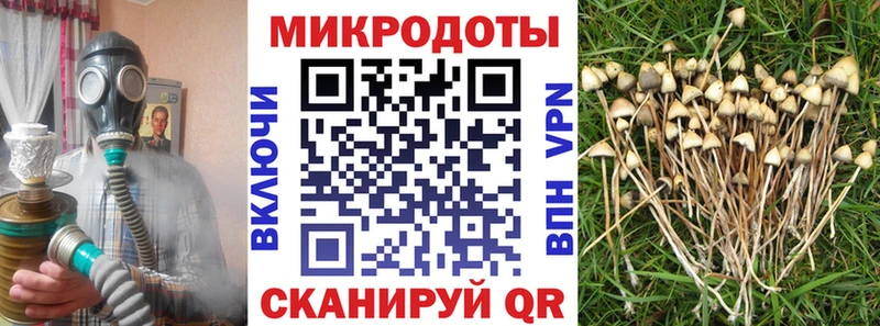 Галлюциногенные грибы Cubensis  закладка  Приволжский 